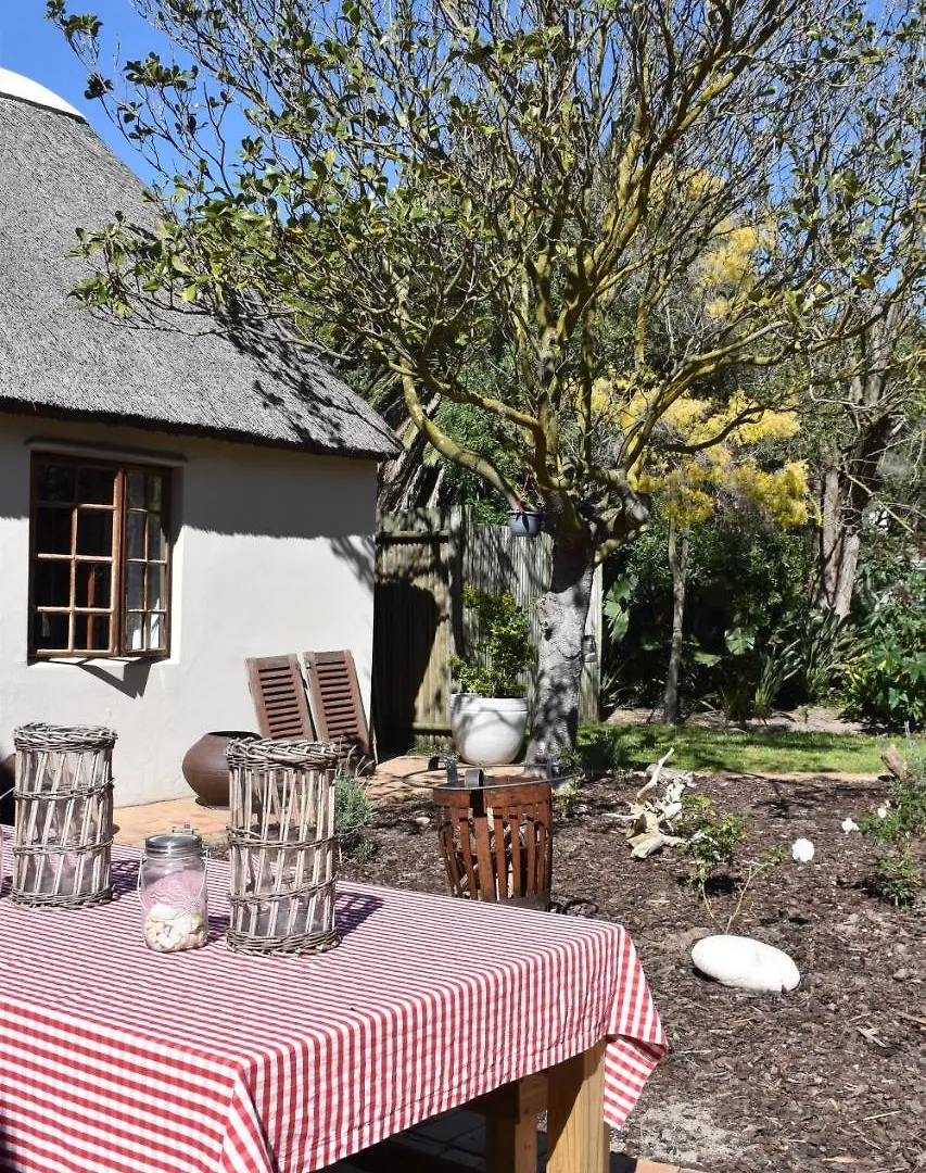 Guest house Cosy Corner Hotel Cape Town South Africa